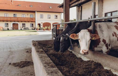 Chalet-Apartments Am Schmiedhof - Foto 16