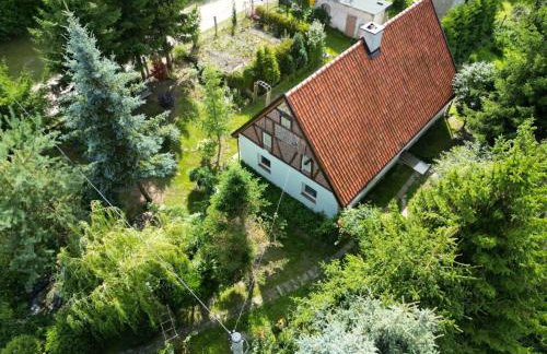 Świerkowe Ranczo Raciszewo - Foto 1