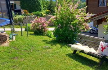 Bauernhof Vorderstiedler - Foto 24