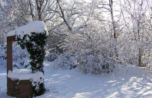 Badische Landoase - Foto 27