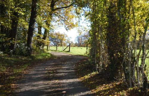 Holiday Home in Limousin near Forest - Foto 26