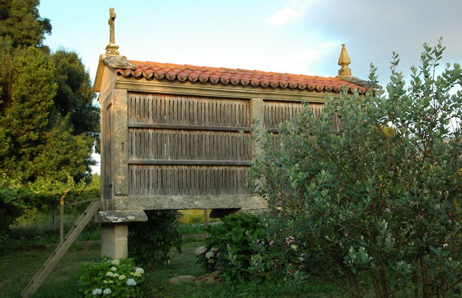 Os Migueliños - Foto 25