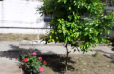 Asteris appartment - Photo 46