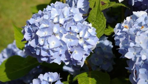 Ferienhaus Klookris 15 - Foto 4