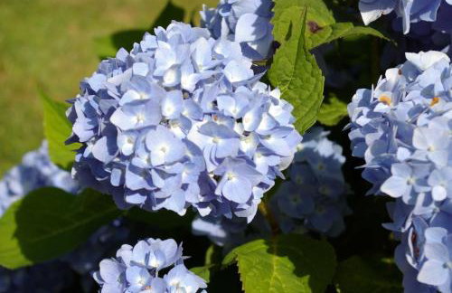 Ferienhaus Klookris 15 - Foto 4