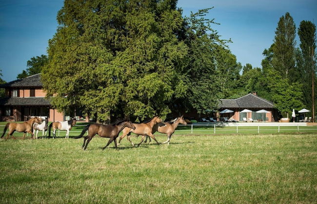 Agriturismo Relais Tenuta il Cigno - Foto 56