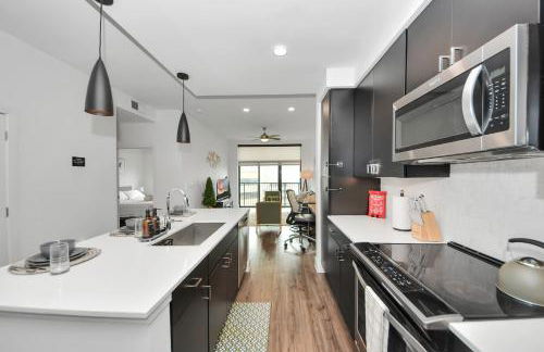 1bd Luxury apartment near Texas Medical Center - Foto 46