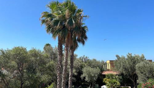 iFlat Punta Catalana - Foto 3