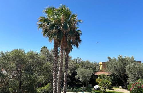 iFlat Punta Catalana - Foto 3