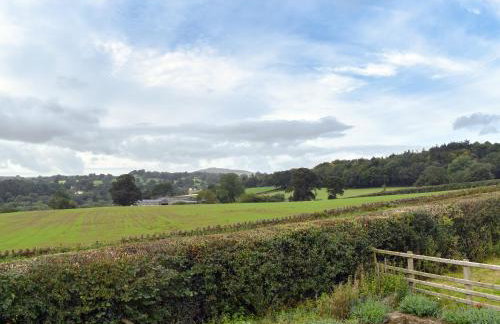 Black Lion Folly - Foto 31