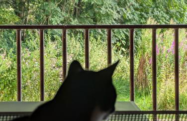 Traumkrone Ferienwohnungen - Abendrot - Foto 40