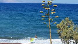 Almyra Kythera - Foto 5