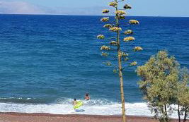 Almyra Kythera - Foto 5