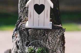 Apartman Marta i soba Maja - Foto 36