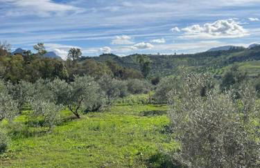 Casa La Fuente Alta - Photo 39