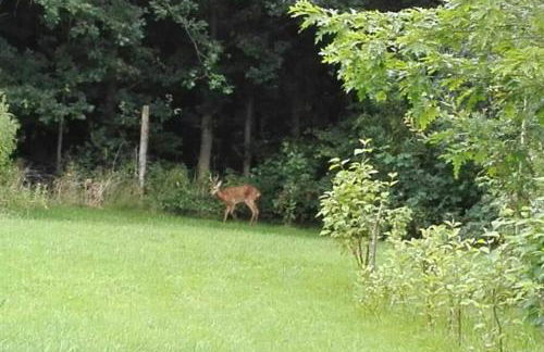 Ferienwohnung Altneukoog - Foto 18