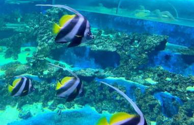 Apartament Modesta Przy Aquaparku Reda - Foto 43