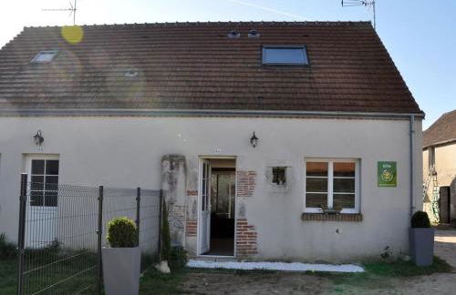 Charmante maison près des châteaux de la Loire avec jardin fermé et animaux bienvenus - FR-1-590-65 - Photo 11