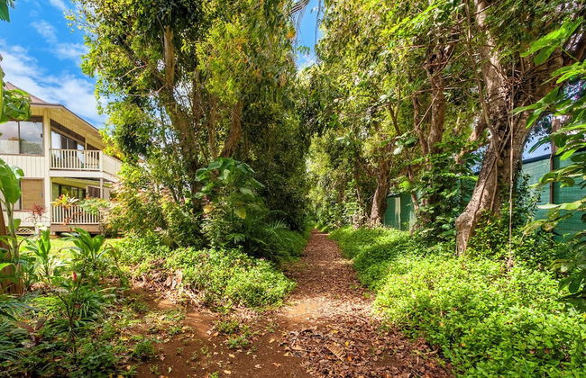 Paniolo 210a - Foto 30