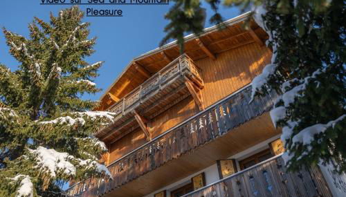 Chalet Alpe d'Huez 1850-Sea and Mountain Pleasure Avec 2 appartements- 1 Appartement 3 Chambres 8 Couchages - 3 Salles d'eau et 1 Appartement 5 Chambres 12 Couchages 5 Salles d'eau - Jacuzzi et Sauna -Pieds des Pistes et Centre - Foto 2