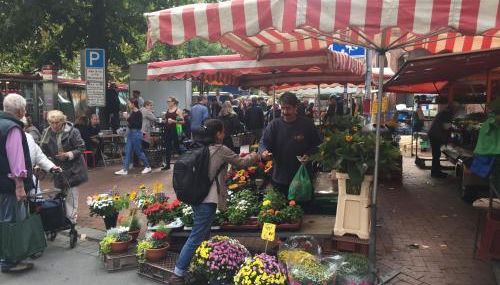 Lebendiges Linden - Foto 2