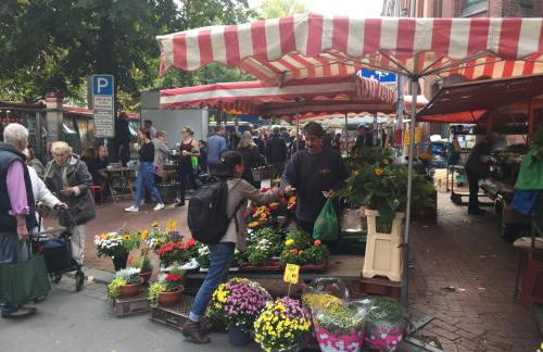 Lebendiges Linden - Foto 2