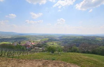 Elis - Foto 23