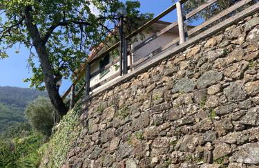 La casa di Amelia - Foto 4