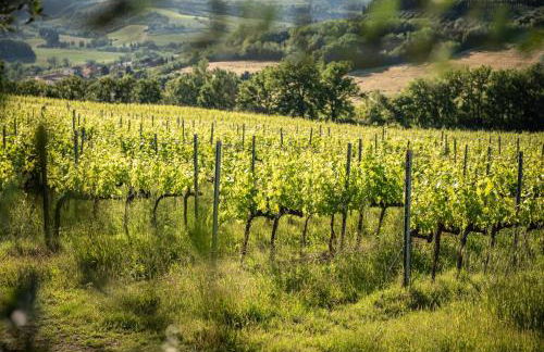 Agriturismo Casale Ugolini - Foto 25