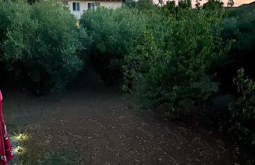 Galovac Nikos - Foto 13