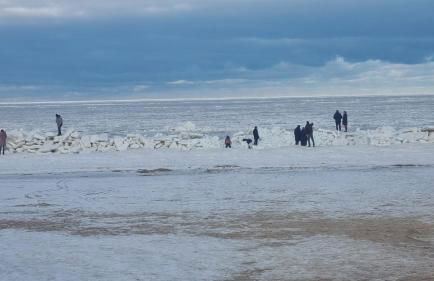 Fewo Usedom Peene Idyll - Foto 47