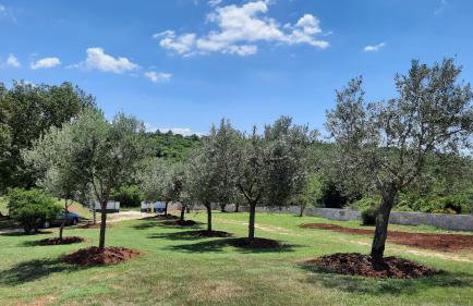 Casa Grazia - Foto 7
