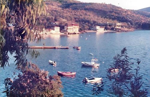 Epavli Sofia' s two Apartments in Horto, 30m from the sea - Foto 58