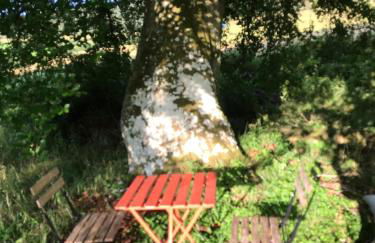 Gorgeous boutique off-grid cottage near Peebles - Foto 67