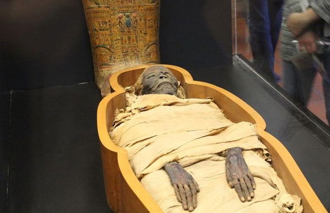 Increíble tour privado guiado de un día a El Cairo desde Hurghada en autobús privado - Foto 6