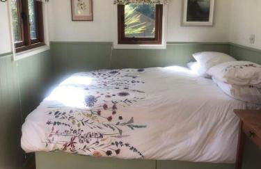 Lovely Shepherds hut near St Ives Cornwall - Foto 17