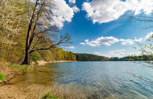 Apartament Forest - Foto 17