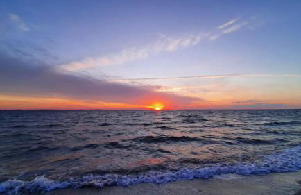 Krabbenfischer - Foto 14