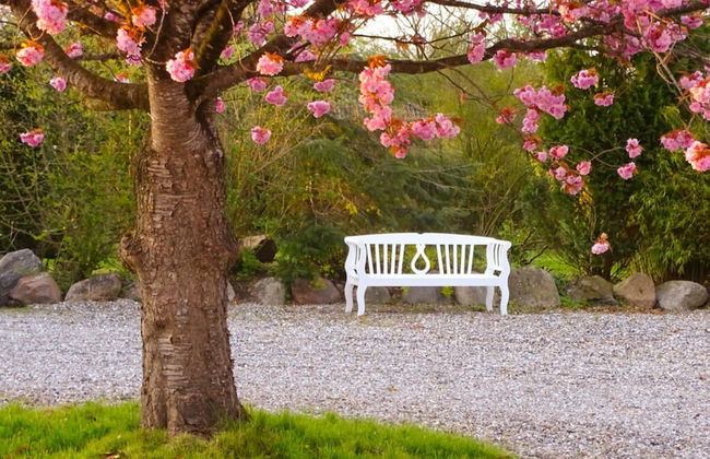 Fordehus Modern Retreat - Photo 38