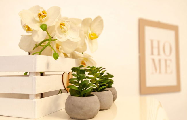 Sardinia Re - Lu Cantoni - Foto 27