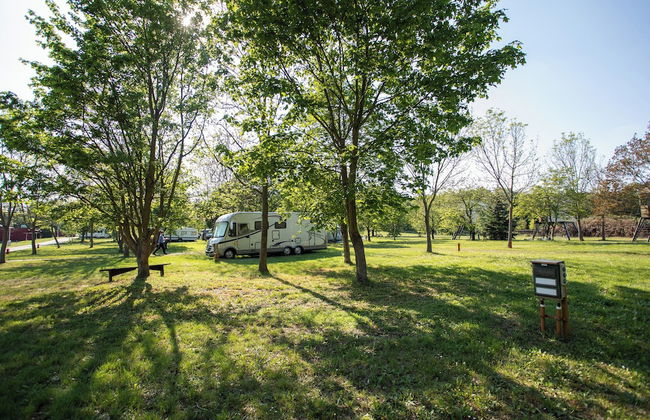 Camp Dzban - Foto 33