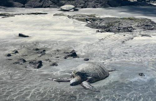 Hale O Malu at Kaloli Point - Foto 39