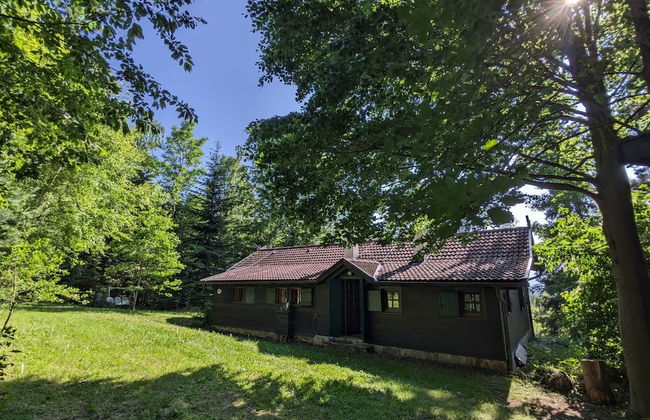 Holiday Home in Edlitz Near Ski Slopes - Foto 35