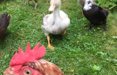 Rothbury Hideaway - Photo 13