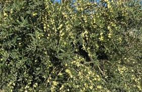 Casa Vacanza "Corso Olmo" - Foto 41