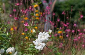 Zacharoulas Katikies - Foto 32