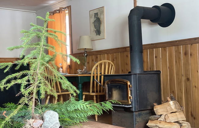 Rustic Beaverfoot Lodge Basic Cabin - Photo 16