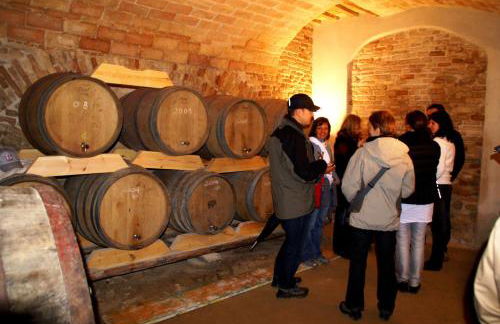 Agriturismo Fiorano - Foto 41