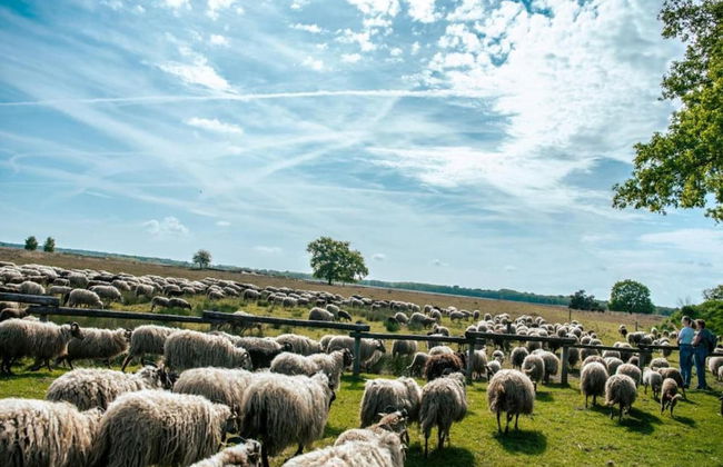 Bungalow With Fireplace, not far From Assen - Photo 33