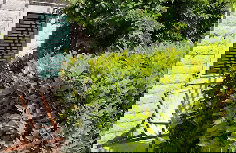 Green Village Kotor - Foto 31